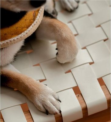 Ξενοδοχείο NORDIC DESIGN Σκληρό ξύλο άλογο σέλα δέρμα υφασμένο κάθισμα στοιβάσιμη τραπεζική καρέκλα για σύγχρονο καφέ και εστιατόριο