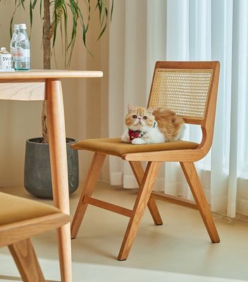 Σπίτι Έπιπλα Λακαρισμένο Φινίρισμα Σκληρό ξύλο Καρέκλα με μαξιλάρι και φυσικό ράτανο για τα έπιπλα μοντέρνου σχεδιασμού